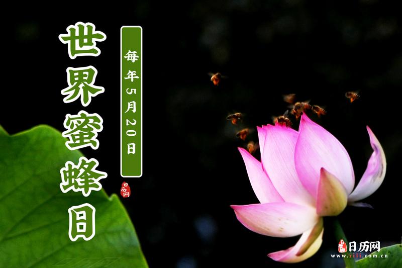 世界蜜蜂日是哪一天-世界蜜蜂日是几月几号