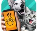 猫狗翻译器手机版下载安装-pet translator猫狗翻译器下载